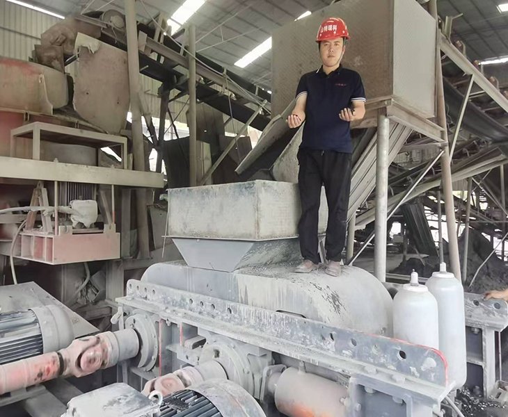 Why Choose Sandreck Double Roller Crusher